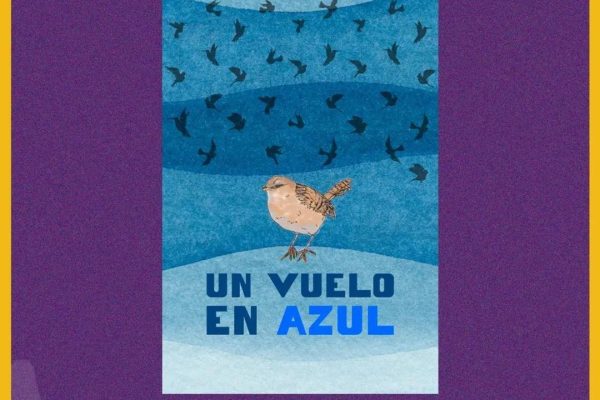 Club de estudios visuales y culturales: RUTA AZUL